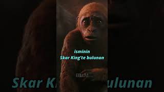 Skar King ve Suko Arasındaki Durum #godzillaxkong #godzilla #kong