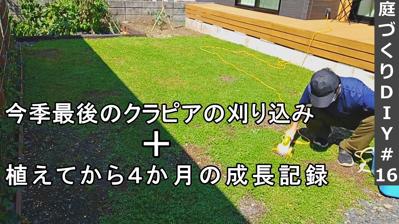 今季最後のクラピアの刈り込みをする 植えてから4か月の成長記録 庭づくりdiy 16 Craft Tree