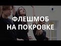 Флешмоб Кураторов НИУ ВШЭ и HD HSE Dance