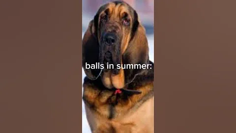 wobbly wiggly wobbly wiggly #shortsviral 