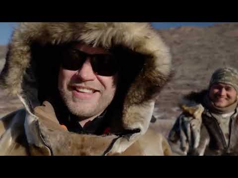Hunting Muskox In The Extreme Cold