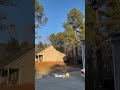 we throw a dangerous large pine tree located next to the houses using skidsteer@goldenleafservice