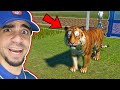 محاكي حديقة الحيوانات : اشتريت نمر Planet Zoo !! 🐯🔥