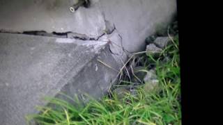 ③入居募集中琴似第２の怪！国有地売却１０月３１日引き渡しの　雇用促進住宅札幌琴似第２宿舎の実態