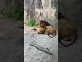 ナオ、構ってほしいんだね😁❗️