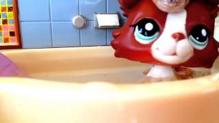 Littlest Pet Shop: Shower - Music Video (Happy 4th Of July) Littlest Pet Shop: Shower - Music Video (Happy 4th Of July)