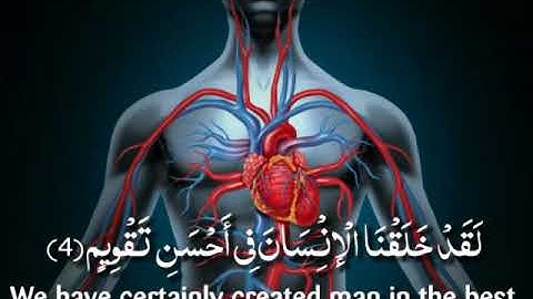 تلاوة تخشع لها القلوب والأرواح ماشاء الله  الشيخ إدريس أبكر