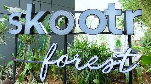 Introducing Skootr Forest - Where Nature Meets Workspace