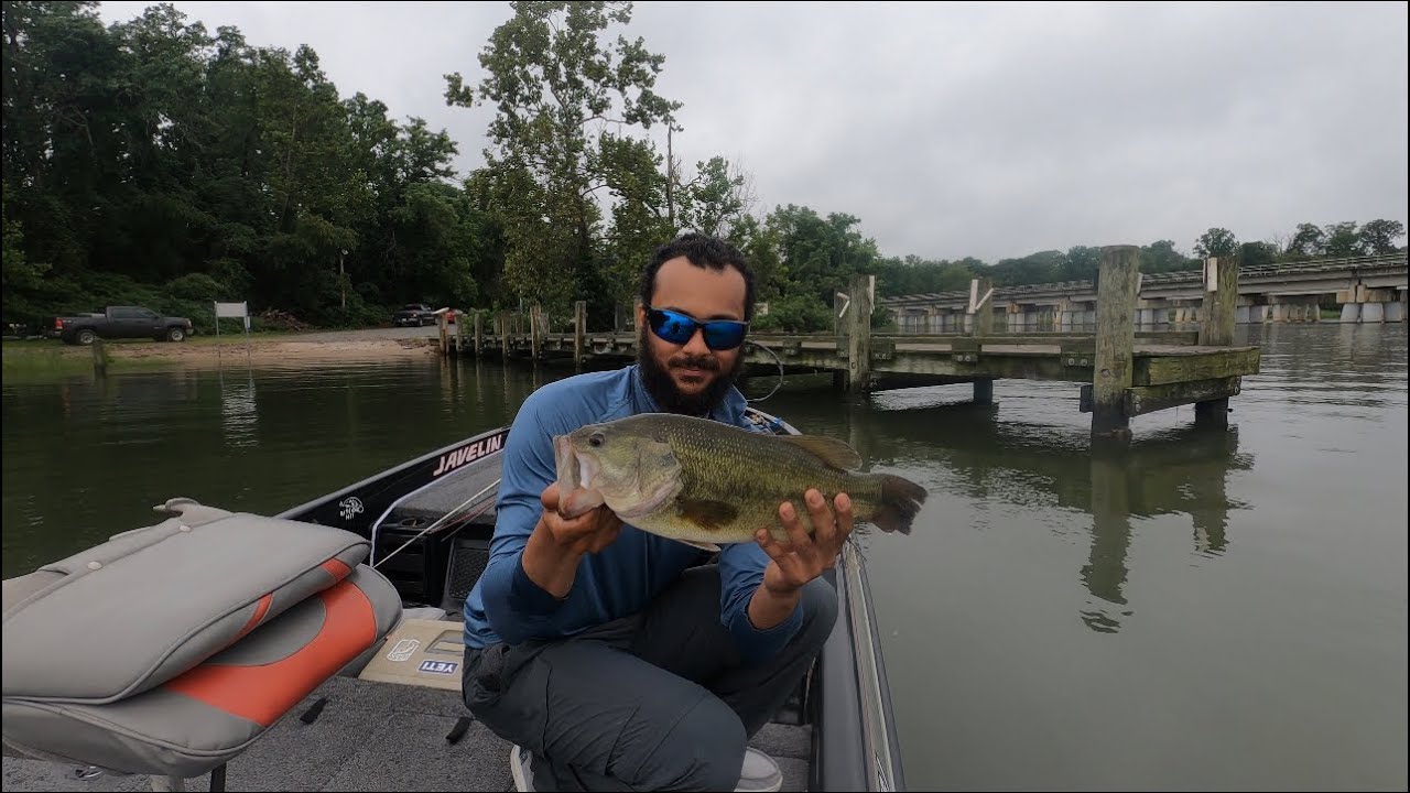 Potomac River Bass Fishing