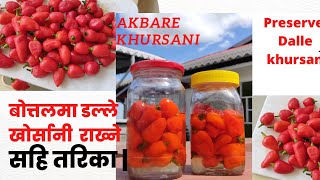 Dalle Khursani | Akbare khursani | Bottle ko dalle khursani | Dalle Chilli in Salt Water