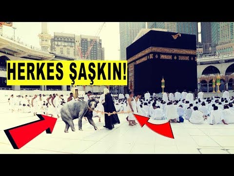 Mescid-i Haram İçinde Ne Bulduklarını Görün, Tüm Dünyayı Şok Eden Olay