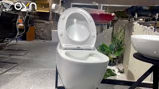 White Ceramic Wall-Hung Toilet and Ceramic Basin