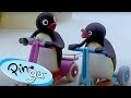 Pingu surprises everyone    pingu  official channel  cartoons for kids