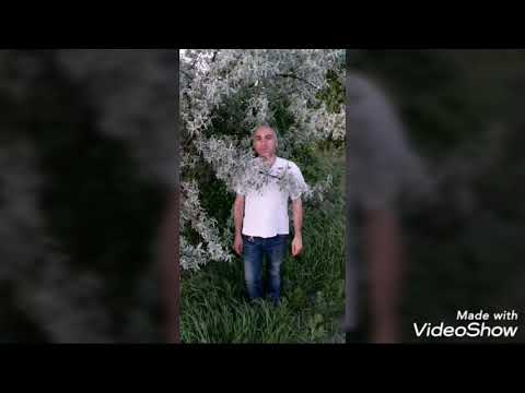 გიო ქსოვრელაშვილი