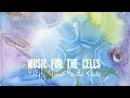 Emiliano Toso: 432Hz Music for Cells, Healing, Relaxing chosen by Bruce Lipton, best piano