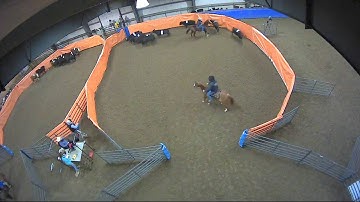 Big Sky Ranch Sorting Saddle Series #2 - #10 H/C - Round #1 - Ride #16