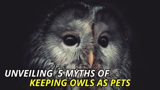 Revealing 5 Myths about Keeping Owls