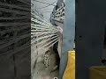 How sugar bags is made, plastic