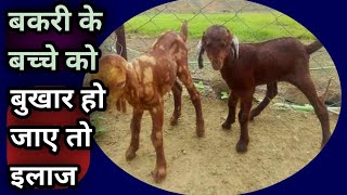Bakri ke Bache ko Bhukhar/Fever ka illaj||बकरी के बच्चे को बुखार हो जाए तो इलाज screenshot 5
