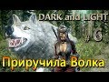 Dark and Light - (06) - Приручила белого Волка