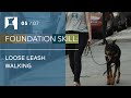 Loose Leash Walking: How to Keep Your Dog from Pulling on the Leash (5/7)