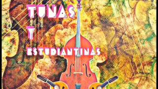 Video thumbnail of "LAS PALMERAS TUNA UNIVERSITARIA DE DEUSTO"