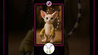 Digimon Adventure Live Action #Kari #Salamon #Gatomon #Tailmon #Angewomon