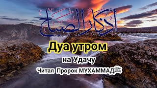 СЛУШАЙТЕ «КАЖДОЕ УТРО» - ЭТИМ ДУА АЛЛАХ СДЕЛАЕТ ДЕНЬ ПРЕКРАСНЫМ, ЗАРЯЖАЕТ ИМАН, СПОКОЙНЫМ¡¡(3)