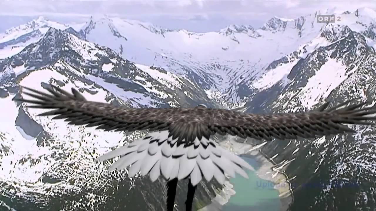 Leo Rojas El Condor Pasa YouTube