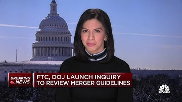 FTC and DOJ launch inquiry to review guidelines for mergers