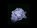 Right now (softcore)