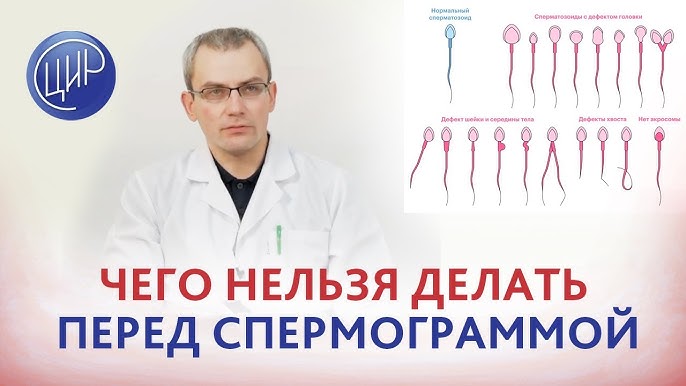 Chiroyli qizlar fotosuratlar va videolarda ozlarining jozibalarini namoyish etadilar.