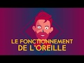 Le fonctionnement de loreille  amplifon