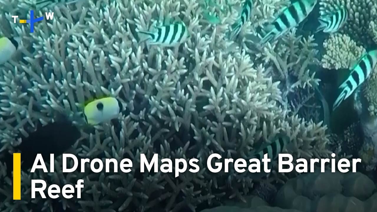 Scientists Use Autonomous Underwater Drone To Map Great Barrier Reef ...