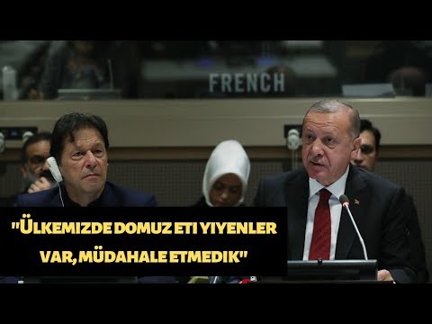 Cumhurbaşkanı Erdoğan: Ülkemizde domuz eti yiyenler var, müdahale etmedik