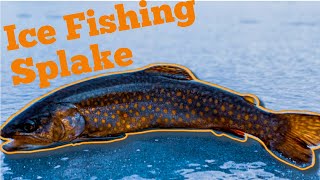 Ice Fishing for Hybrid Trout in Southern Ontario-Splake Fishing