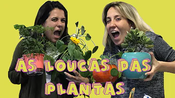 Qual é o conceito de planta?