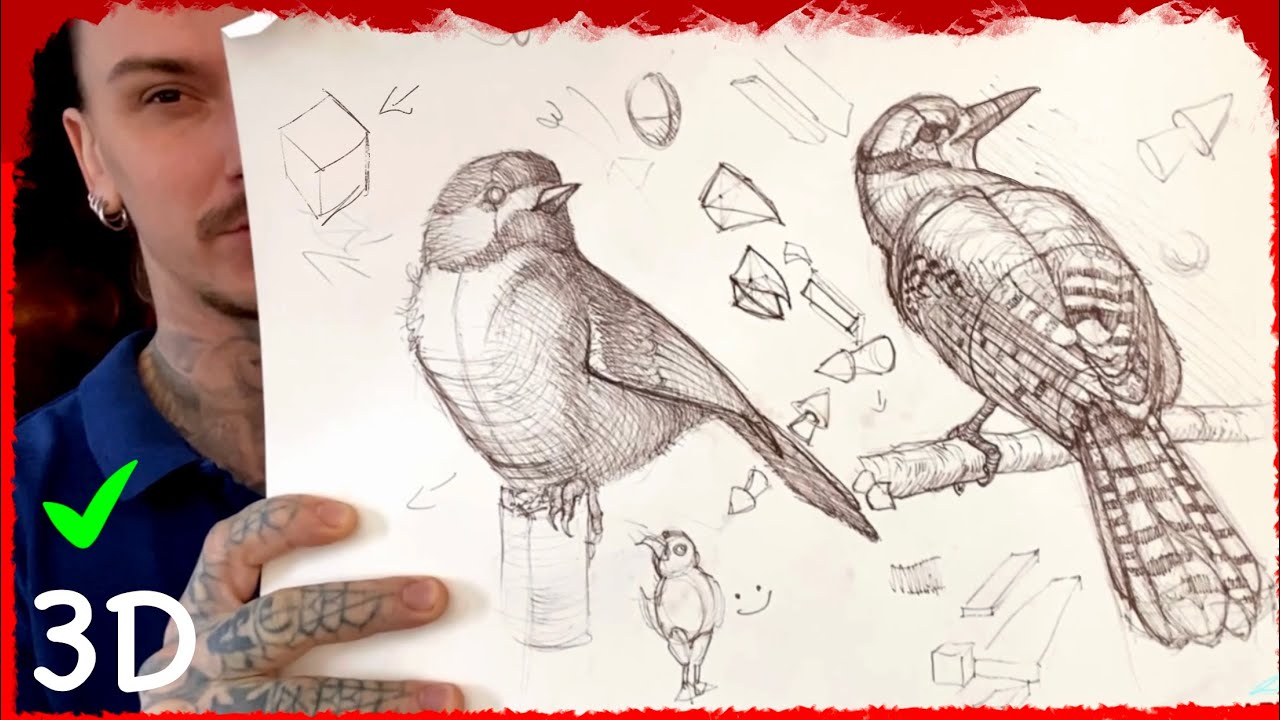 Oiseau Dessin Realiste Noir Et Blanc