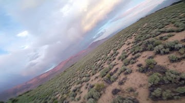 Beta Flight 3.2 dynamic filter testing. MB Primo motors