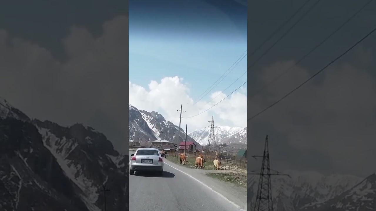 Journey through snow