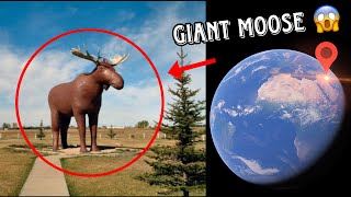 I Found World’s Biggest Moose On Google Earth 😱