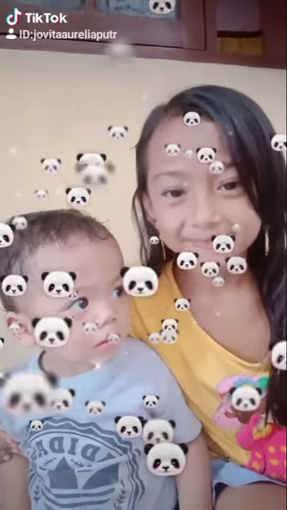 Tiktok panda bersin bikin ngakak