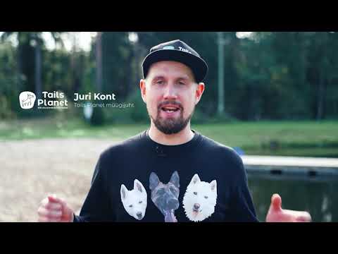Video: Kuidas ravida koerte amfetamiini toksilisust
