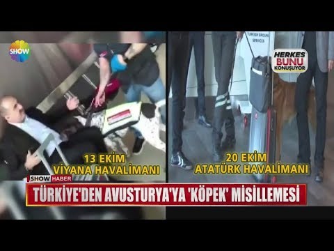 Türkiye'den Avusturya'ya 'Köpek' misillemesi