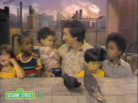 Sesame Street: Bob Sings Lazy Summer Day