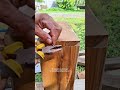 tips and techniques in nailing #woodworking #woodworkingtricks #diy