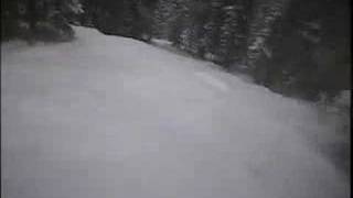 Pat Sewell Skis The Trees