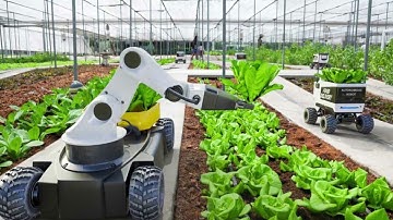 From Drones to Robots, How Technology is Changing Agriculture