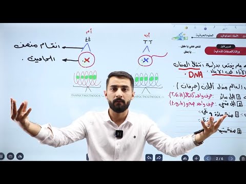 انطلاقة المكثف الحصة الوراثة المندلية