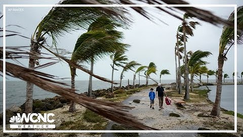 How AI is used to warn of hurricane impacts